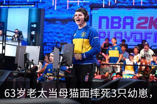 63岁老太当母猫面摔死3只幼崽，3天后遛弯忘关窗户，回家后崩溃了